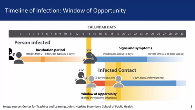 COVID Timeline of Infection
